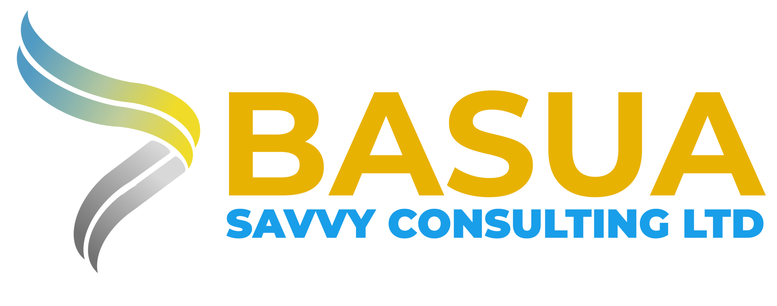 BASUA Construction Consulting ltd logo